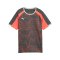 PUMA Individualliga Graphic Trikot Kids Grau F10 - grau