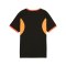 PUMA individualLIGA Graphic Trikot Kids Schwarz F07 - schwarz