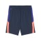 PUMA individualLIGA Short Kids Blau F01 - blau
