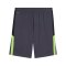 PUMA Short Grau F08 - grau