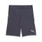 PUMA Short Grau F08 - grau