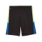 PUMA IndividualLiga Training Short Schwarz F02 - schwarz