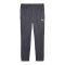 PUMA Trainingshose Grau F08 - grau