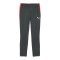 PUMA Individualliga Trainingshose Grau F10 - grau