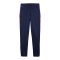 PUMA IndividualLIGA Trainingshose Kids Blau F01 - blau