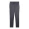 PUMA Trainingshose Kids Grau F08 - grau