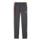 PUMA Individualliga Trainingshose Kids Grau F10 - grau