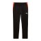 PUMA IndividualLIGA Trainingshose Schwarz F07 - schwarz