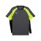 PUMA Trikot Grau F08 - grau
