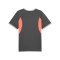 PUMA Individualliga Trikot Grau F10 - grau