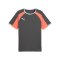 PUMA Individualliga Trikot Grau F10 - grau