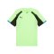 PUMA IndividualLiga Trikot Grün F02 - gruen