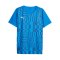 PUMA individualRise Graphic Trikot Blau F02 - dunkelblau