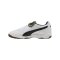PUMA King Indoor Weiß F13 - weiss