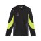 PUMA KING Pro HalfZip Sweatshirt Schwarz F05 - schwarz