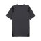 PUMA KING Pro Trikot Grau Schwarz F05 - grau