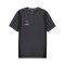 PUMA KING Pro Trikot Grau Schwarz F05 - grau