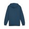 PUMA KING Top Hoody Grün F05 - gruen