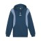 PUMA KING Top Hoody Grün F05 - gruen
