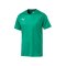 PUMA LIGA Core Trikot kurzarm Grün Weiss F05 - gruen