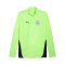 PUMA Manchester City Training 1/4 Zip Sweatshirt Gelb F16 - gelb