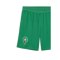 PUMA Marokko Training Short Grün F04 - gruen