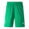 PUMA NJR Copa Short Grün F07 - gruen