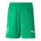 PUMA NJR Copa Short Kids Grün F07 - gruen