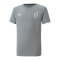 PUMA NJR Evostripe T-Shirt Kids Grau F05 - grau