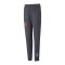 PUMA NJR Trainingshose Kids Schwarz F07 - grau