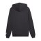 PUMA ÖFB Österreich FtblCulture Hoody Grau F25 - grau