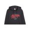 PUMA ÖFB Österreich FtblCulture Hoody Grau F25 - grau