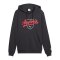 PUMA ÖFB Österreich FtblCulture Hoody Grau F25 - grau