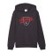 PUMA ÖFB Österreich FtblCulture Hoody Kids Grau F25 - grau