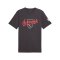 PUMA ÖFB Österreich FtblCulture T-Shirt Grau F25 - grau