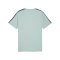 PUMA ÖFB Österreich King T-Shirt Grün F23 - gruen