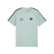 PUMA ÖFB Österreich King T-Shirt Grün F23 - gruen