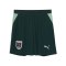 PUMA ÖFB Österreich Short Away WM 2026 Grün F04 - gruen