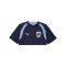 PUMA ÖFB Österreich Trainingsshirt Lila F08 - lila