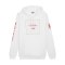 PUMA Österreich Ftbl Icons Hoody Weiss F09 - weiss