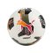 PUMA Orbita 5 TB Hardground Trainingsball Weiss F01 - weiss