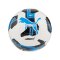 PUMA Orbita 6 MS Trainingsball Weiss F05 - weiss