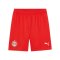 PUMA RB Salzburg Short Home 2024/2025 Rot F02 - rot