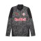 PUMA Red Bull Salzburg Training 1/4 Zip Sweatshirt Grau F17 - grau