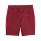 PUMA Red Bull Salzburg Evostripe Short Rot F10 - rot