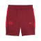 PUMA Red Bull Salzburg Evostripe Short Rot F10 - rot