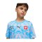 PUMA SFV Schweiz Replica Torwarttrikot Home WM 2026 Kids Blau F86 - blau