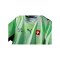 PUMA SFV Schweiz Authentic Trikot Away WM 2026 Grün F02 - gruen