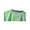 PUMA SFV Schweiz Authentic Trikot Away WM 2026 Grün F02 - gruen