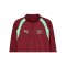 PUMA SFV Schweiz Training 1/4 Zip Top Rot F09 - rot